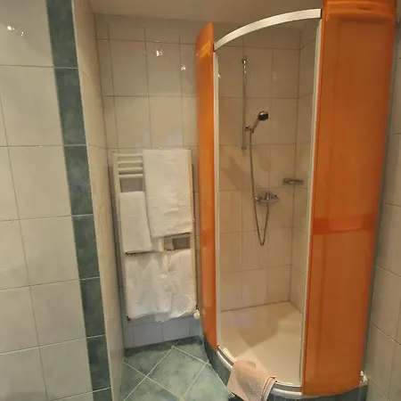 Hotell Auhof Niederau